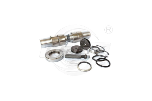 Repair Kit, kingpin (761601201)