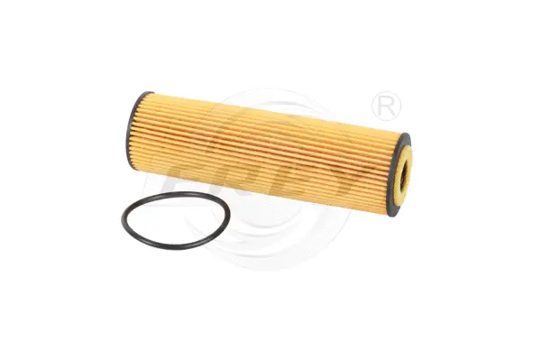 Oil Filter (709105901)