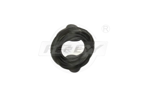 Mount, exhaust system (803200701)