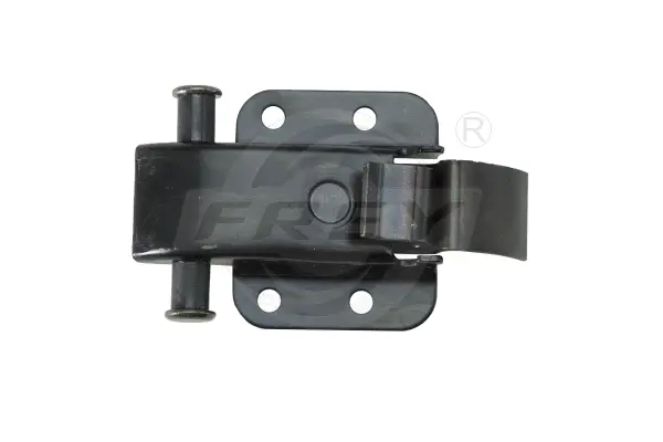 Door Hinge (790303801)