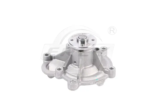 Water Pump, engine cooling (723003101)