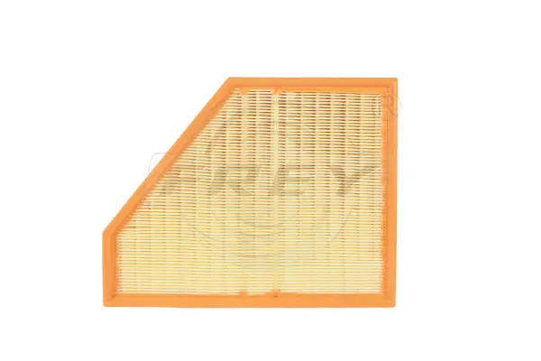 Air Filter (803101901)