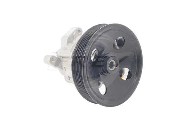 Hydraulic Pump, steering (760901901)