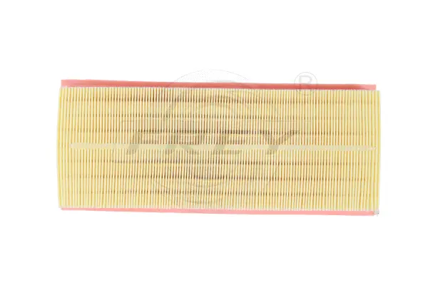 Air Filter (703112101)