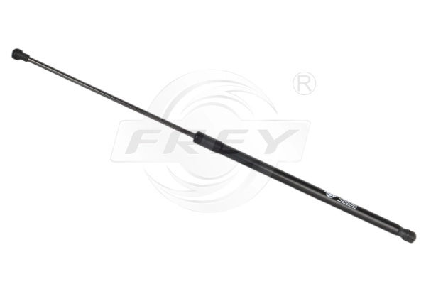 Gas Spring (890818001)