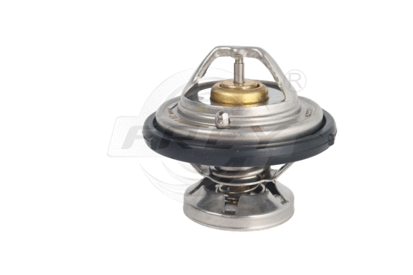 Thermostat, coolant (723107801)