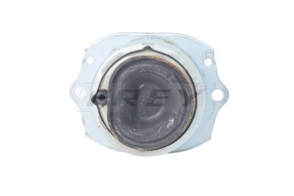 Mounting, engine (802908301)