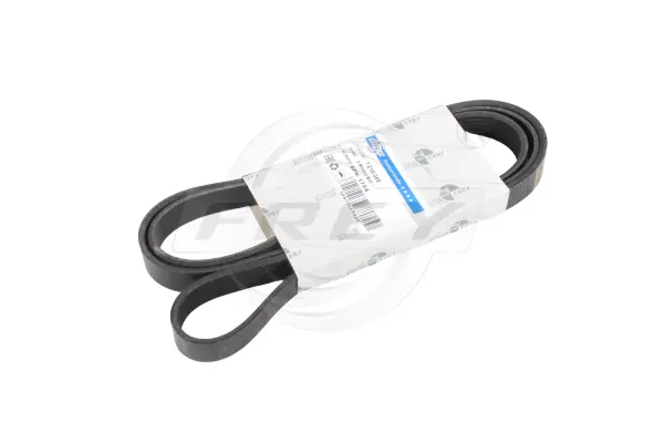 V-Ribbed Belt (721606601)
