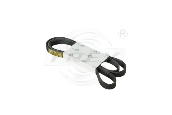 V-Ribbed Belt (721601401)