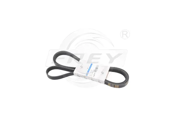 V-Ribbed Belt (721602701)