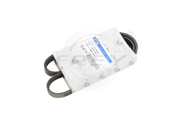 V-Ribbed Belt (821606101)