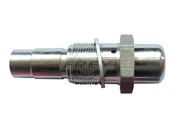 Timing Chain Kit (821800701)