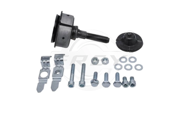Ball Joint (750002201)