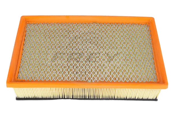 Air Filter (803102201)