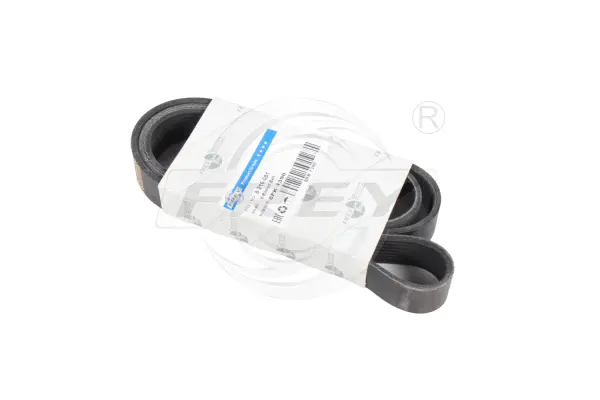 V-Ribbed Belt (821608101)