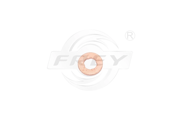 Heat Shield, injection system (800517201)