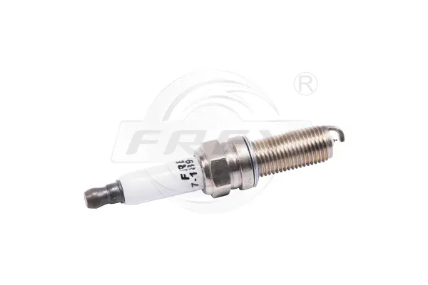 Spark Plug (718900701)