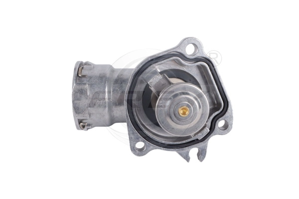 Thermostat, coolant (723108201)