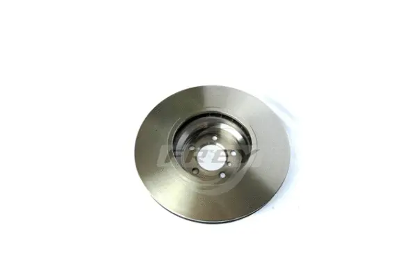 Brake Disc (845205201)
