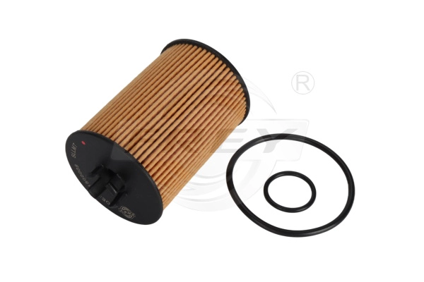 Oil Filter (709102201)