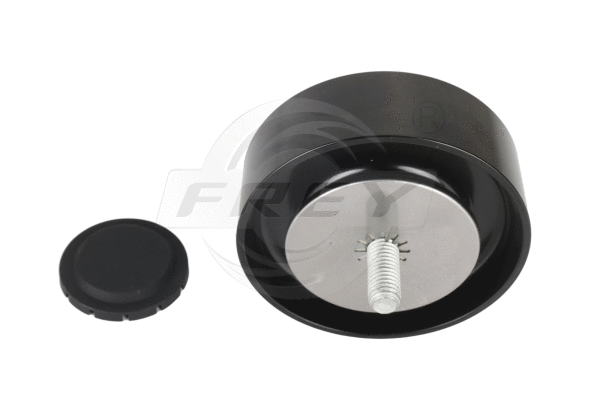 Deflection/Guide Pulley, V-ribbed belt (821107301)