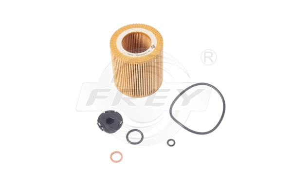 Oil Filter (809106001)