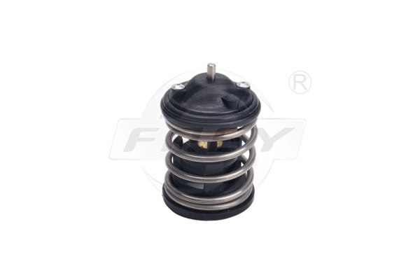 Thermostat, coolant (823126201)