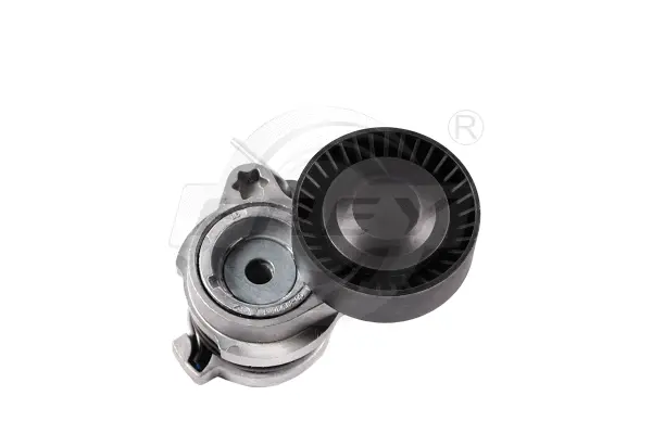 Belt Tensioner, V-ribbed belt (821202201)