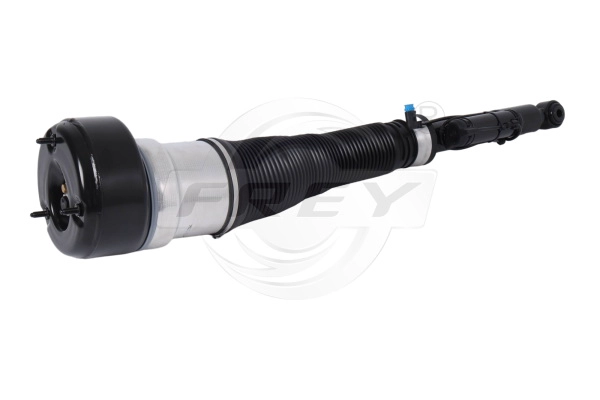 Air Suspension Strut (750405401)