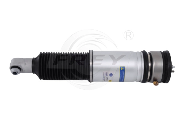Air Suspension Strut (850406301)