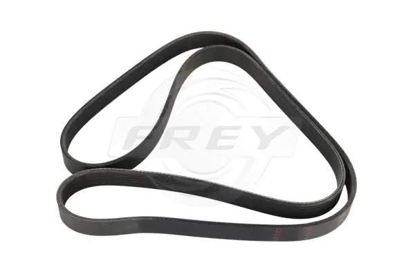 V-Ribbed Belt (821619301)