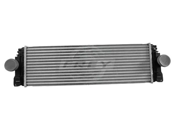 Charge Air Cooler (723812301)