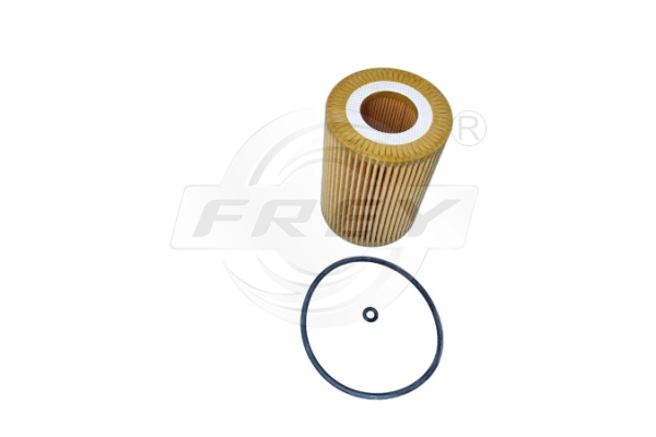 Oil Filter (709101309)