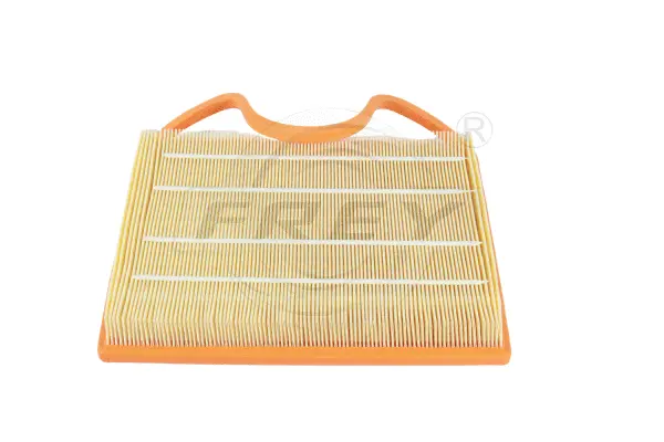 Air Filter (803103401)