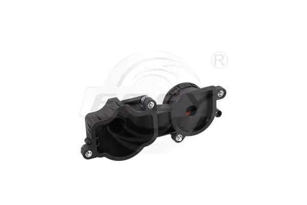 Valve, crankcase ventilation (813004401)