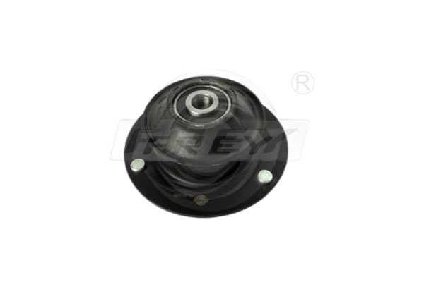 Protective Cap/Bellow, shock absorber (850516101)