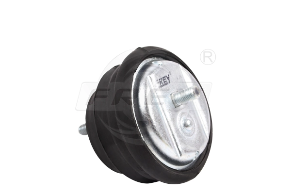 Mounting, engine (802900901)