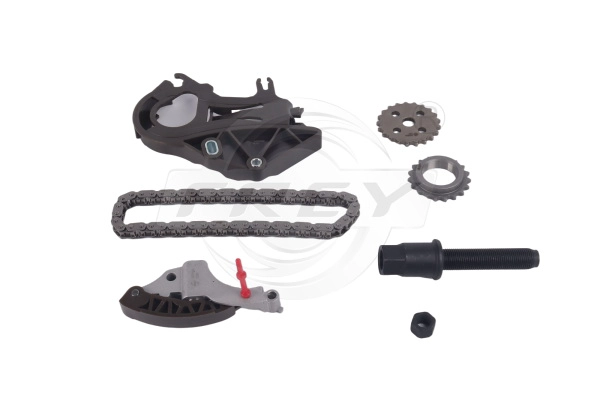 Timing Chain (806505201)