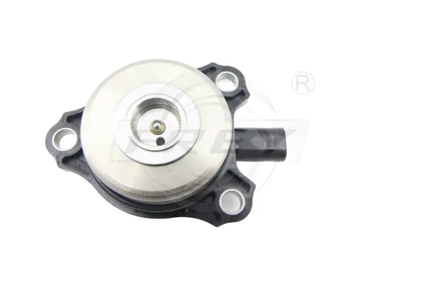 Central Magnet, camshaft adjustment (700607101)