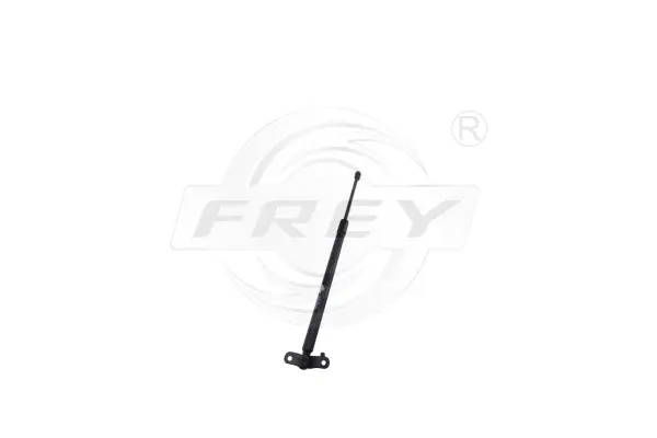 Gas Spring, boot/cargo area (790809501)