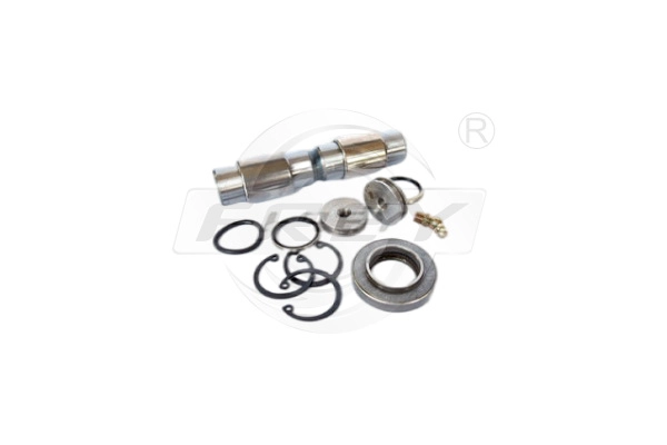 Repair Kit, kingpin (761601101)