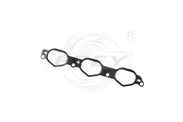 Gasket, intake manifold (700600201)