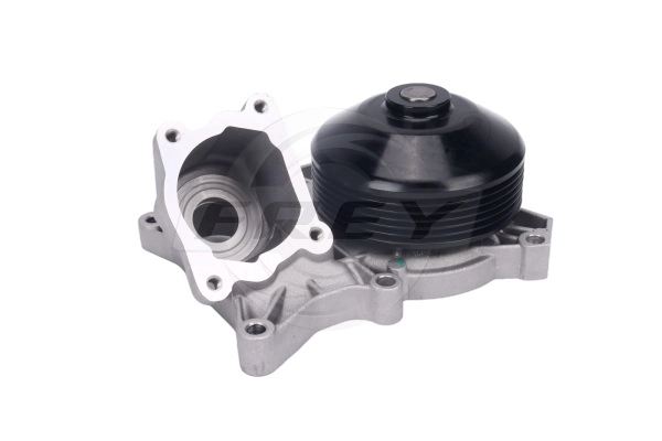 Water Pump, engine cooling (823016401)