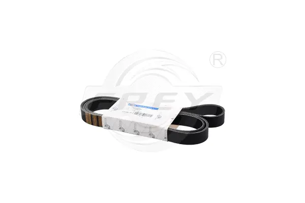V-Ribbed Belt (821607801)