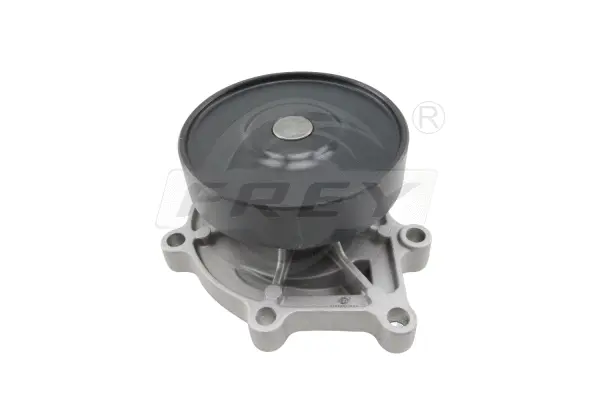 Water Pump, engine cooling (823013801)