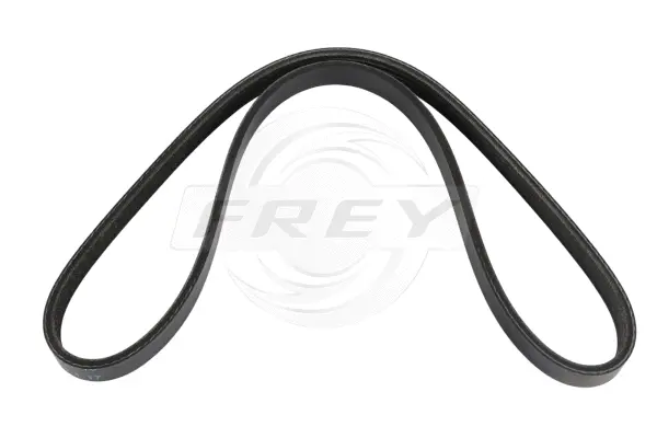 V-Ribbed Belt (821619101)