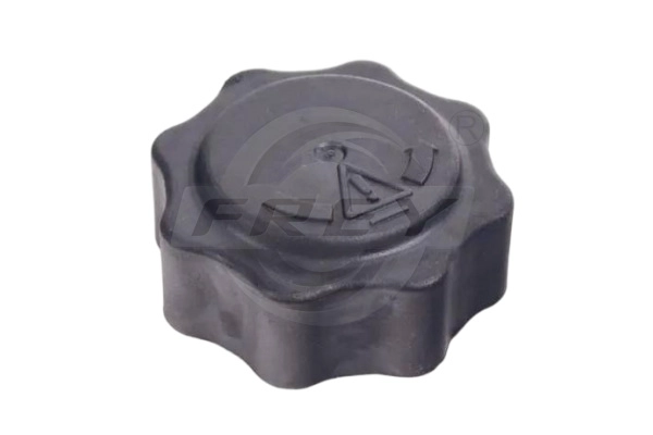 Sealing Cap, expansion tank (power steering) (824301101)
