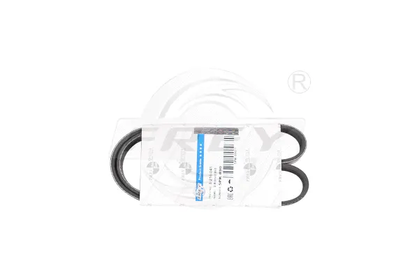 V-Ribbed Belt (821604101)