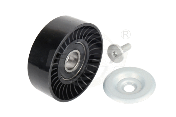 Belt Tensioner, V-ribbed belt (721111201)