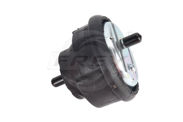 Mounting, engine (802916201)